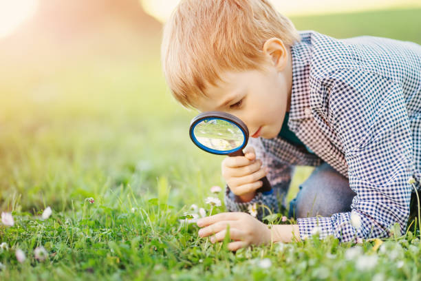 istock Boy with magnifying glass exploring the nature. 1467054845