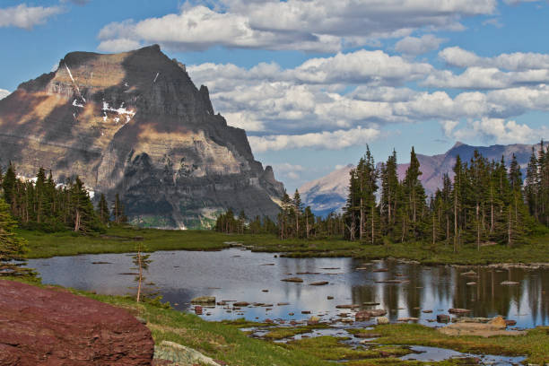 Logan Pass in the Summer stock photo