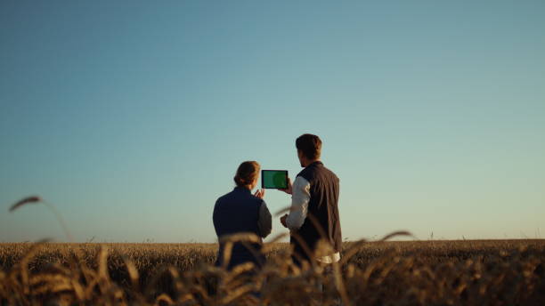 istock Agriculture workers holding pad computer inspecting cultivated wheat harvest. 1467073953