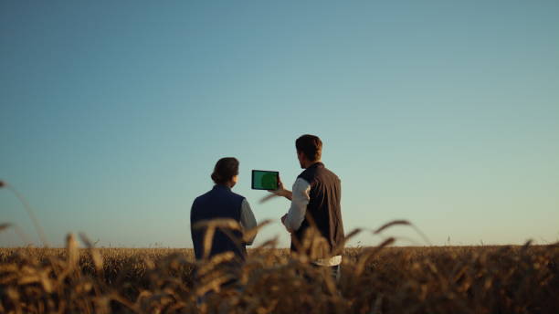 istock Farmers working wheat field with pad computer. Farmland managers checking crops 1467074088