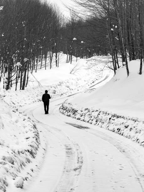 istock Walk in the snowy forest 1467074714