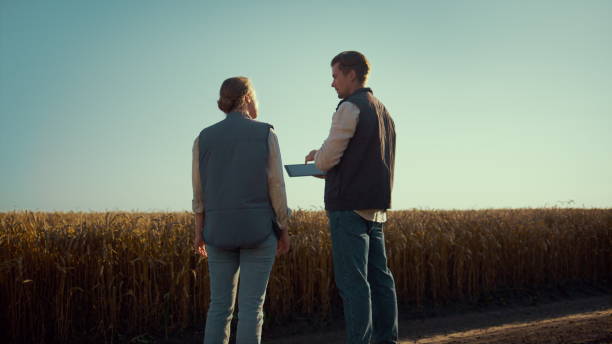 istock Agronomist team discussing field works rear view. Agritech managers using tablet 1467075815