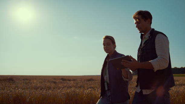 istock Agriculture engineers walking wheat field on sunny day. Teamwork in agribusiness 1467077230