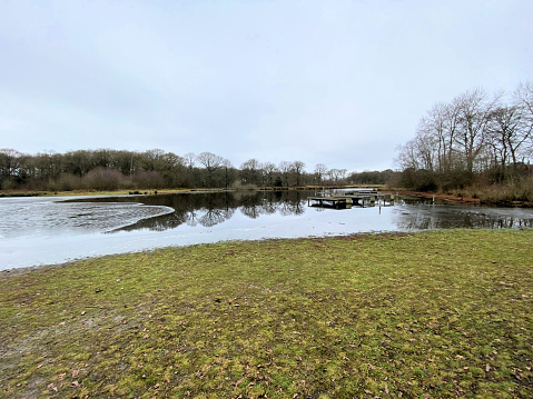 A view of Brown Moss Nature Reserve in the winter