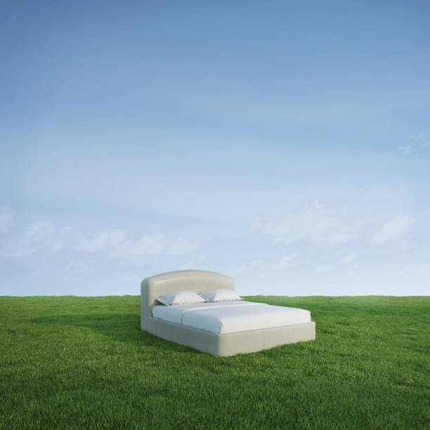 istock Bed on green meadow grass with blue sky background.3d rendering 1467079847