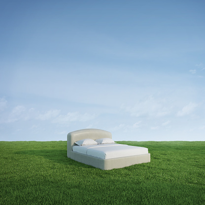 Bed on green meadow grass with blue sky background.3d rendering