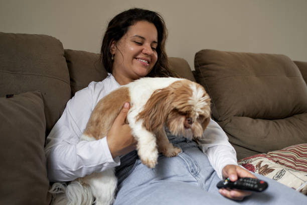 istock Young Latin woman watching TV with her dog 1467081482