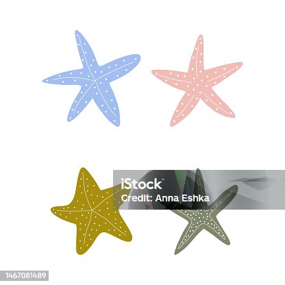 istock Starfish. Atlantic star. Marine Animal Vector illustration on white background. 1467081489