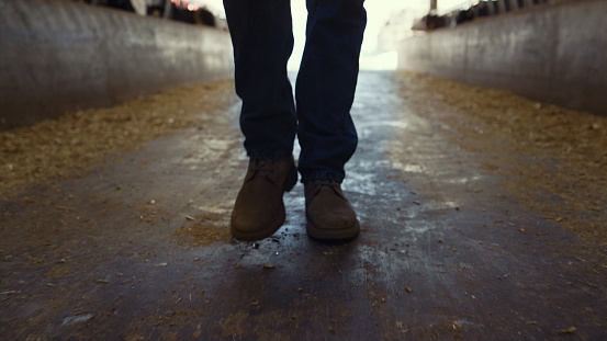 Farmer boots walking shed closeup. Confident agribusiness owner inspect feedlots. Unrecognized man livestock worker strolling going inside farming facility alone. Animal husbandry specialist concept.