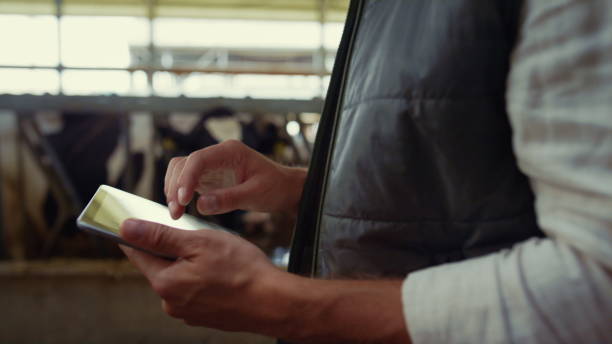 istock Farmer hands touching tablet screen closeup. Wireless technology at livestock. 1467087672