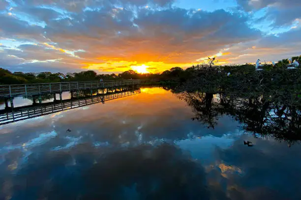 Sunrise at the Wakodahatchee Wetlands in Delray Beach, Florida.