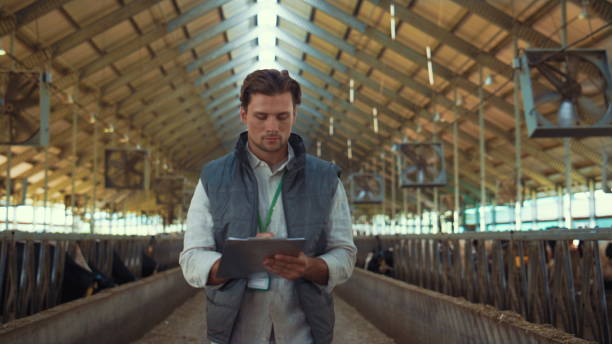 istock Livestock owner checking animal feedlots making notes on clipboard at cowshed. 1467087798
