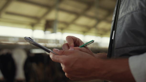 istock Closeup hands writing clipboard at farm facility. Livestock manager man work 1467088316