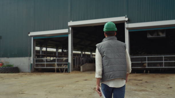 istock Farm breeder walking modern cowshed rear view. Agriculture facility building 1467088877