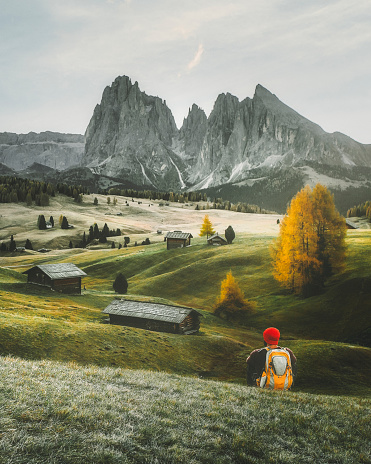 Rearview of a  young man with a backpack and red hat sitting on the grass and enjoying the nature landscape at sunrise on a misty morning in the yellow autumn grass hills with fog through pine trees and cabins in Alpe di Siusi or Seiser Alm area at a beautiful sunset, Dolomites mountain, Italia