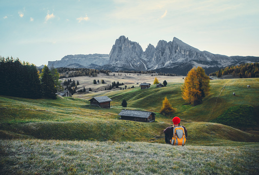 Rearview of a  young man with a backpack and red hat sitting on the grass and enjoying the nature landscape at sunrise on a misty morning in the yellow autumn grass hills with fog through pine trees and cabins in Alpe di Siusi or Seiser Alm area at a beautiful sunset, Dolomites mountain, Italia
