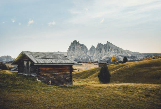 アルペ・ディ・シウシの秋の日の出 - ザイザー・アルム、ドロミテ・サウス・チロル、イタリア - tranquil scene trentino european alps dolomites ストックフォトと画像