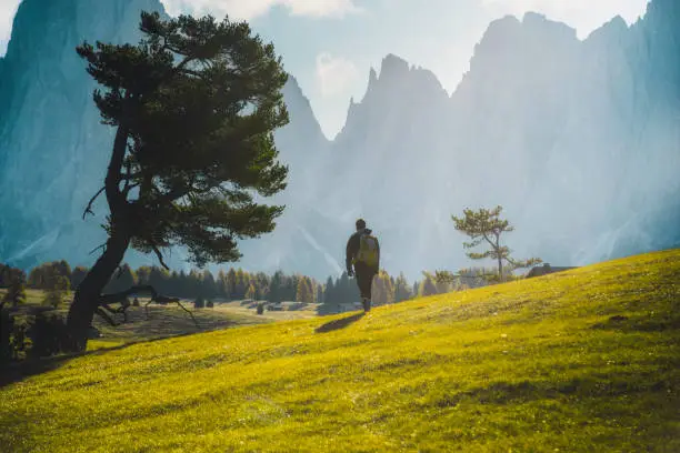 A young hiker man in a raincoat and a big backpack and outdoor sports eyewear hiking and walking in a fantastic mountain landscape on nature landscape at sunrise on a misty morning in the yellow autumn grass hills with sun rays, fog, and sunbeams through pine trees and cabins in Alpe di Siusi or Seiser Alm area at a beautiful sunset, Dolomites mountain, Italia, Europe