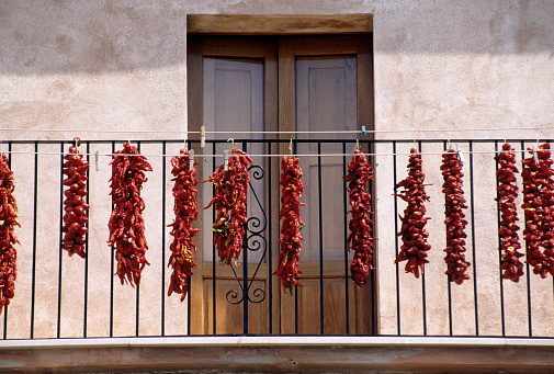 Hanging tomatos ripening in the sun, Calabria region, Italy.