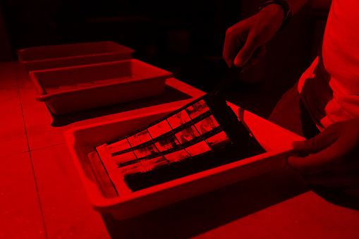 Human hand printing negative photo in photography darkroom. Close-up. It prints using chemicals. Dark red.