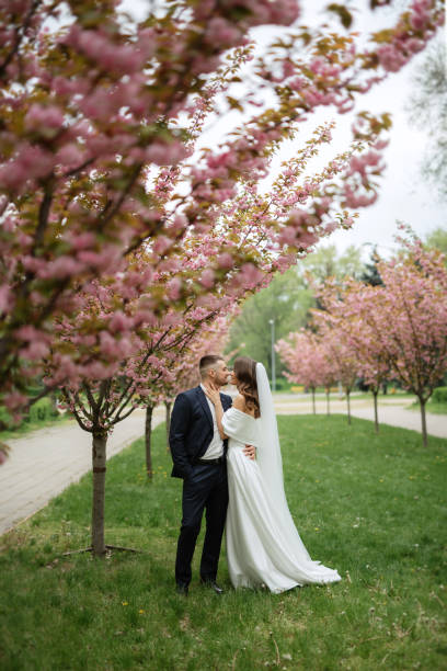 istock newlyweds walk in the park among cherry blossoms 1467111047