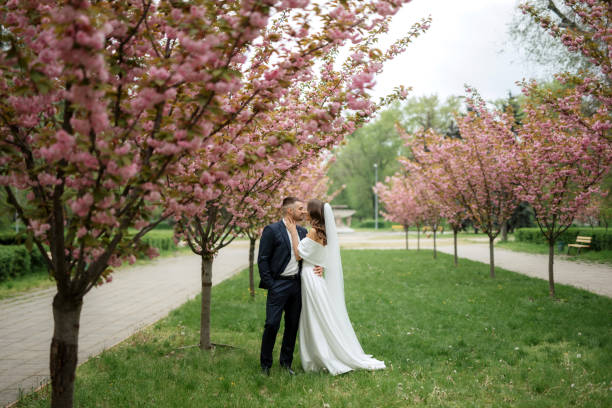 istock newlyweds walk in the park among cherry blossoms 1467113611