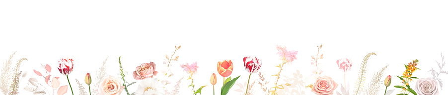 Spring tulips, blush pink rose, beige and pale flowers, creamy peony, ranunculus, white orchid, pampas grass, dried leaves wedding vector banner. Floral watercolor arrangement. Isolated and editable