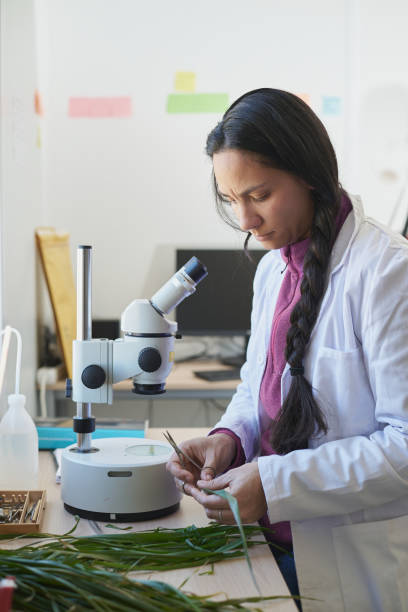 wissenschaftsberuf  - agriculture greenhouse research science stock-fotos und bilder