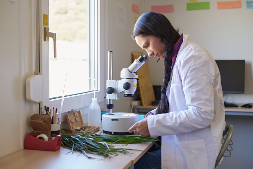 Female native american research assistant or scientist in the laboratory