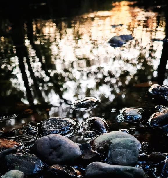 istock Pebble beach over the riverside at sunset 1467119026