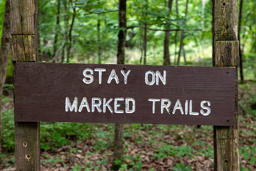 Elk Garden, Virginia, USA - July 2, 2011: A group of friends begin a three-day hike on the Appalachian Trail, starting in Grayson Highlands State Park at Elk Garden, on Highway 600. The first night will be spent near Mount Rogers.