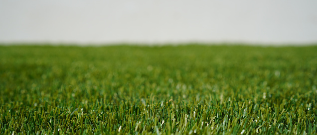 Close up of artificial grass with white background