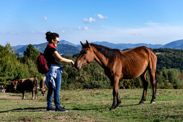 istock Horse and girl outdoors on sunny day 1467127771