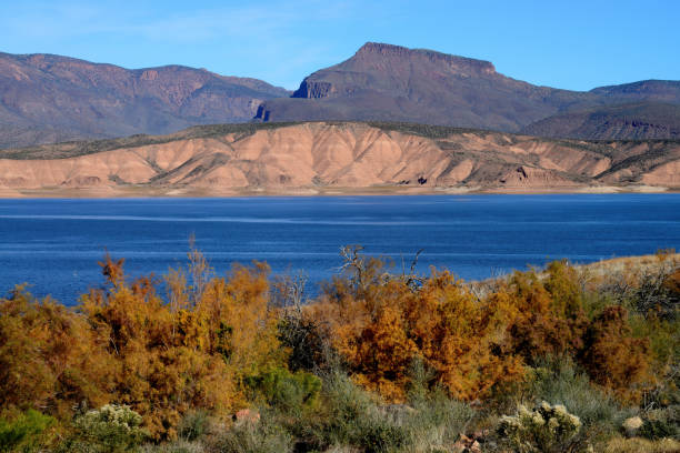 istock Blue Skies Roosevelt Lake Arizona 1467131458