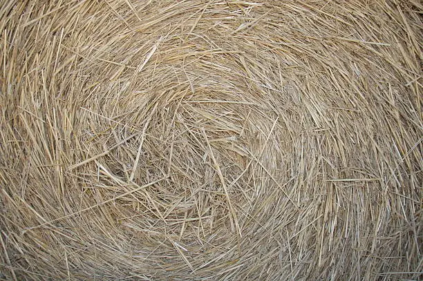 Close Up Hay Bale