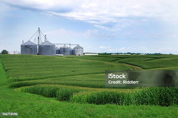 Farm - Fotografias de stock e mais imagens de Elevador de Grãos - Elevador de Grãos, Iowa, Quinta