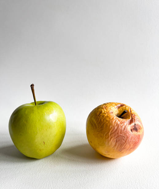 istock rotten and fresh apple on a white background 1467138599