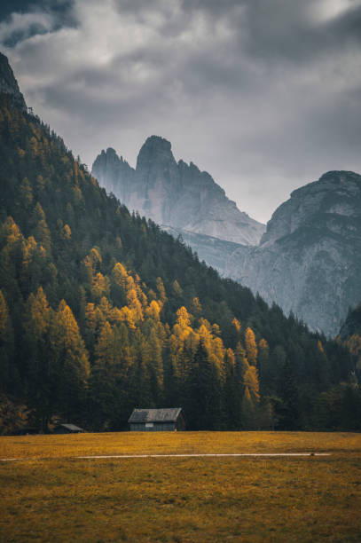 pôr-do-sol do outono em misurina, dolomitas tirol do sul, italy foto de stock - tirol season rock mountain peak - fotografias e filmes do acervo