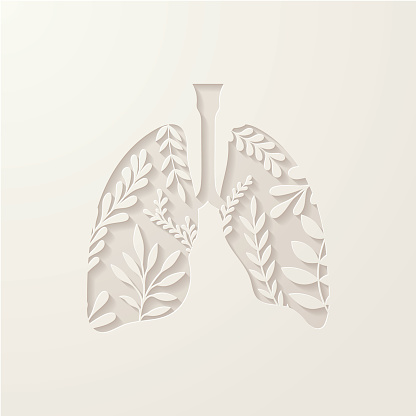 A beautiful soft cut out in the shape of human lungs with some decorative leaves. EPS10 vector illustration, global colors, easy to modify.