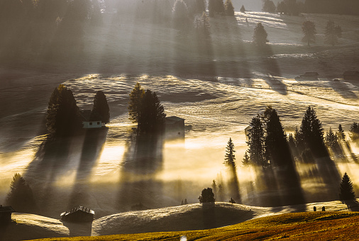 Nature landscape at sunrise on a misty morning in the green grass hills with sun rays, fog and sunbeams through pine trees and cabins in Alpe di Siusi or Seiser Alm area at beautiful sunset, Dolomites mountain, Italia