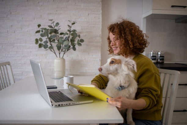 istock Young woman working from home 1467146902