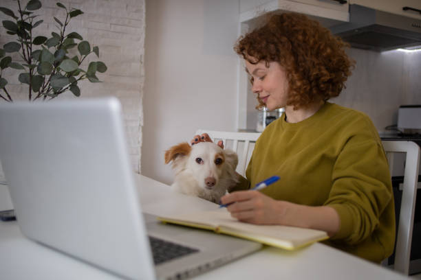 istock Young woman working from home 1467146910