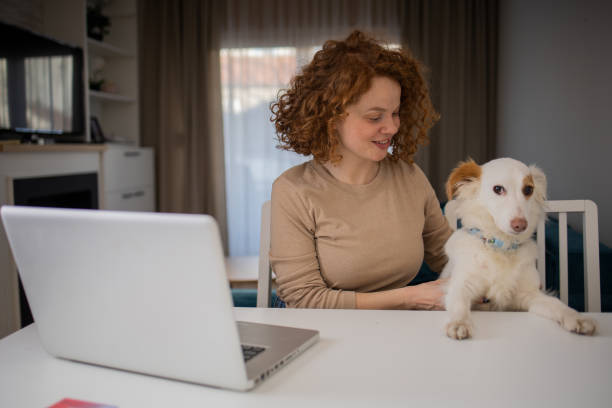 istock Young woman working from home 1467146931