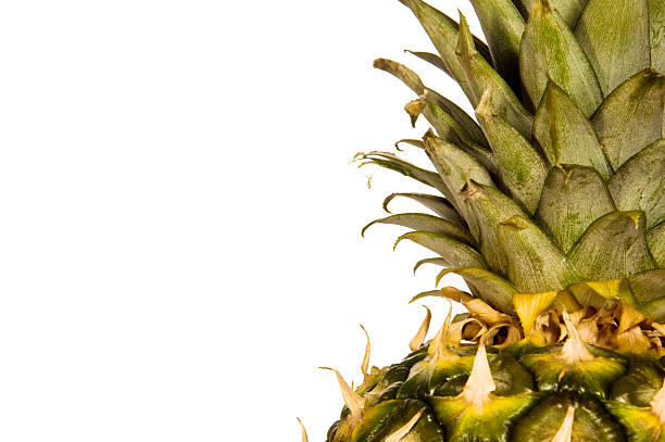 ananas close-up stock photo