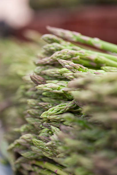 Asparagus
