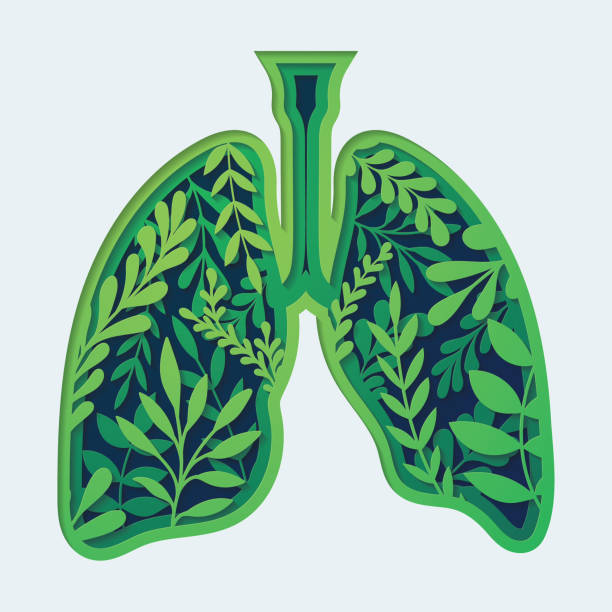 istock Layered cut out of lungs filled with leaves 1467154347