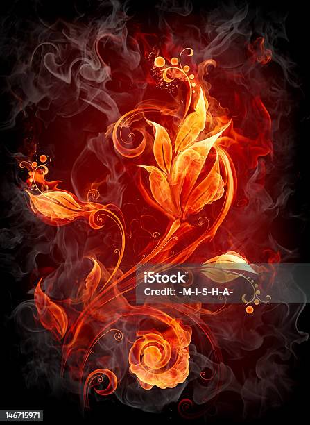Fire Flower Stock Photo - Download Image Now - Flower, Abstract, Beauty
