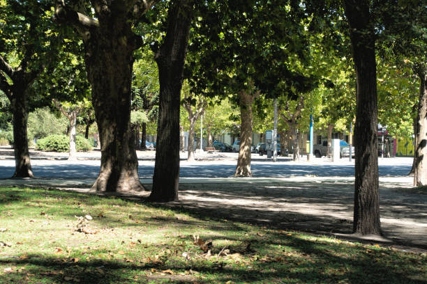 istock Rocha Park in Mar del Plata Green trees 1467160286