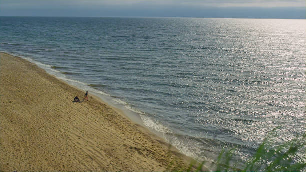 istock Grass blowing wind beach on sea landscape. Aerial view people sit on sand shore. 1467160464