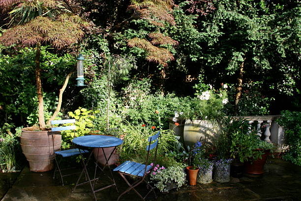 istock Quiet corner of the garden 146716170